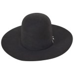 Custom Beaver 20 Felt Hat