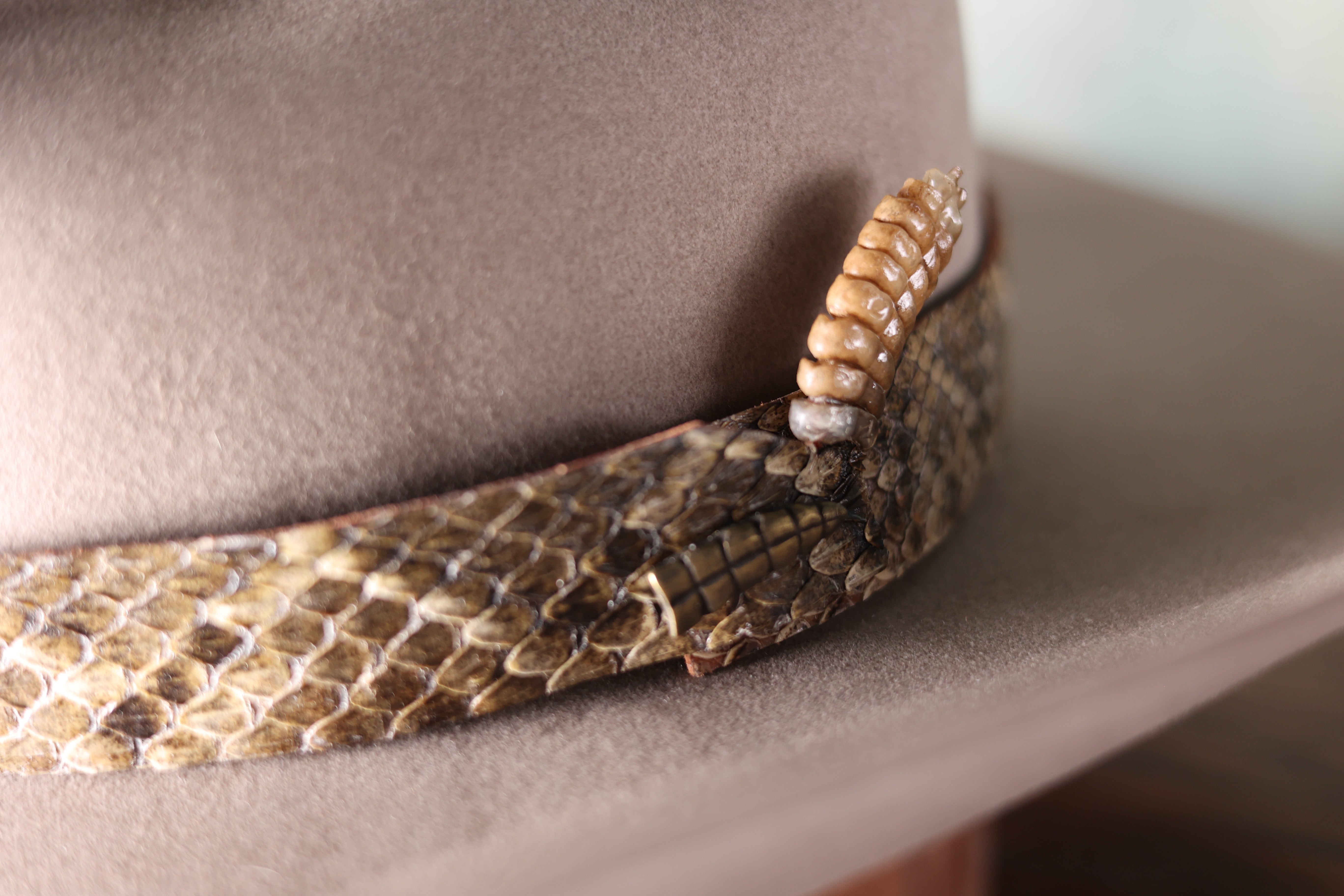 Rattlesnake Hat Band – Greeley Hat Works