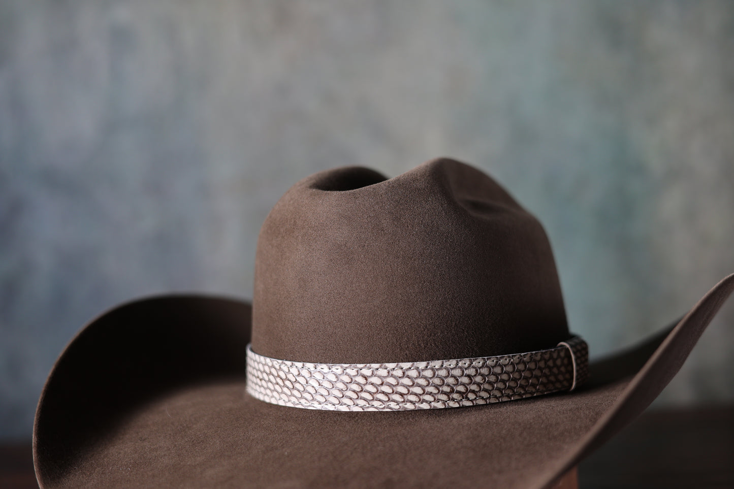 1" Snake Hat Bands