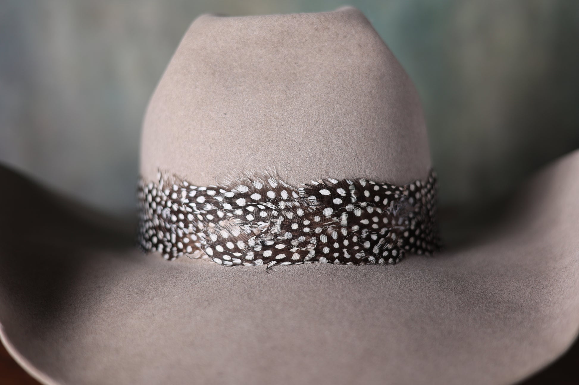 Photo of a black and white feather hat band on a beige cowboy hat