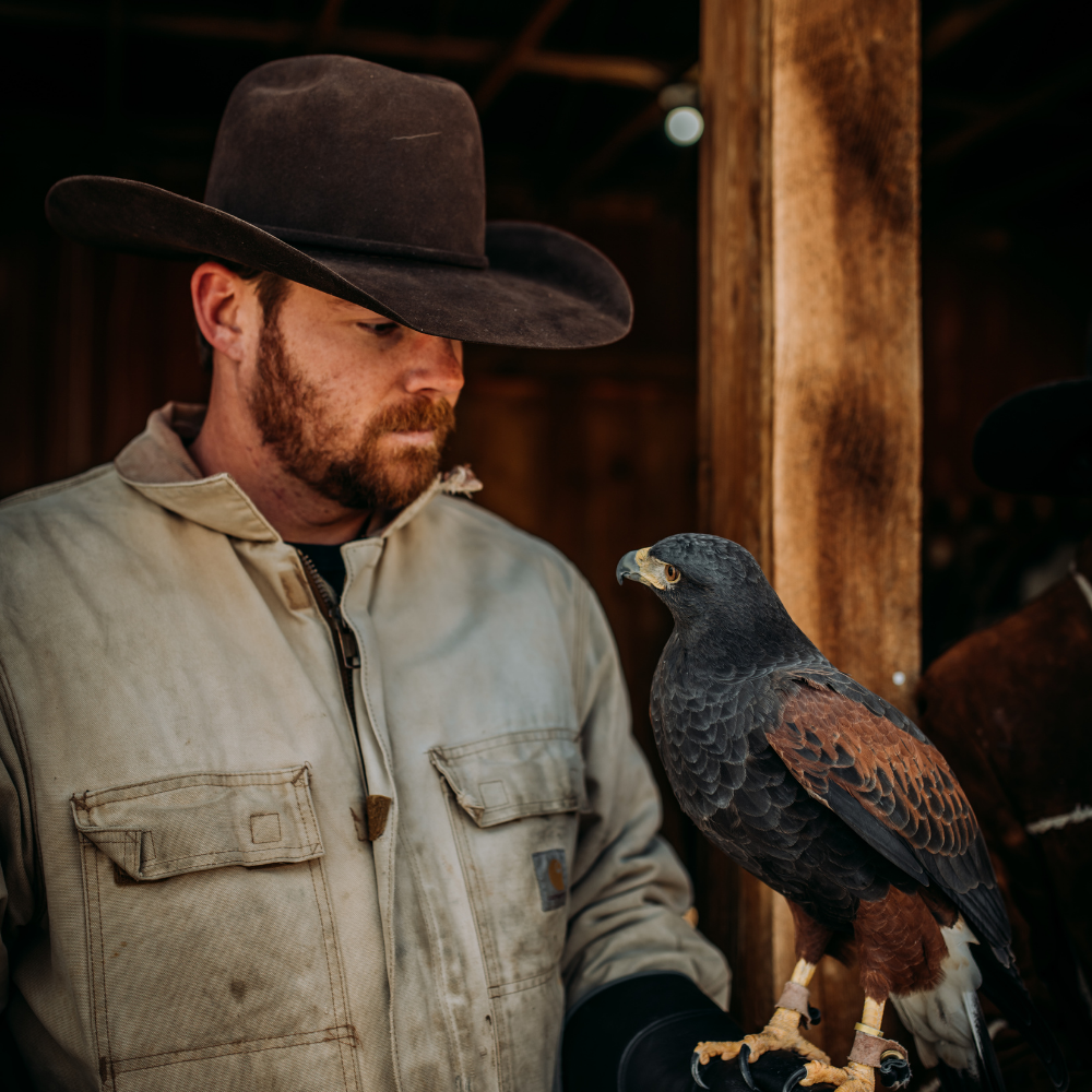Greeley Hat Works Competitor Mink Felt Hat