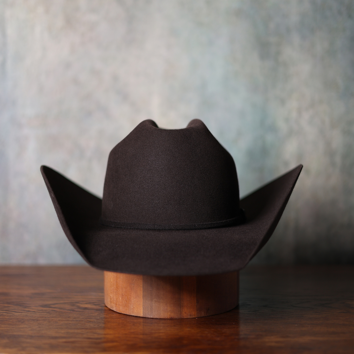 Shallow Cattleman + Quarter Horse  — straight on view