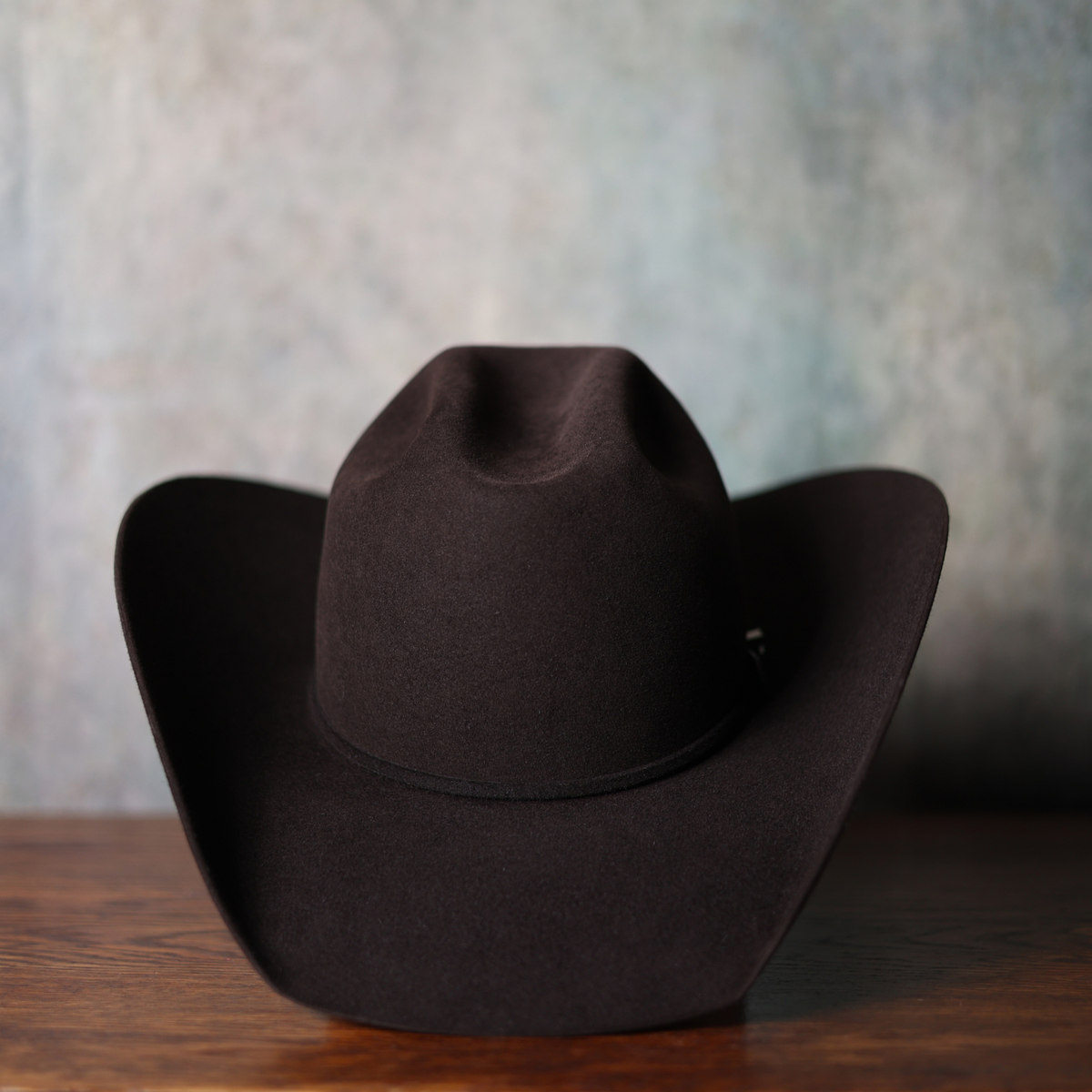 Shallow Cattleman + Quarter Horse  — top view